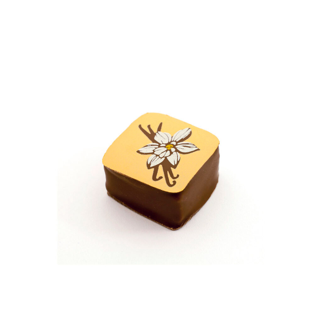 Ganache Vainilla